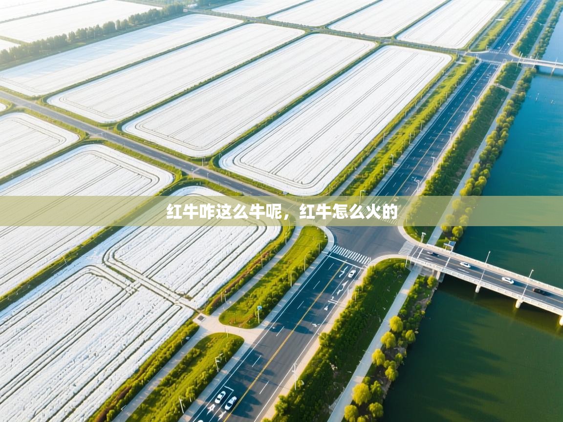 爱游戏体育下载-红牛咋这么牛呢，红牛怎么火的  第3张