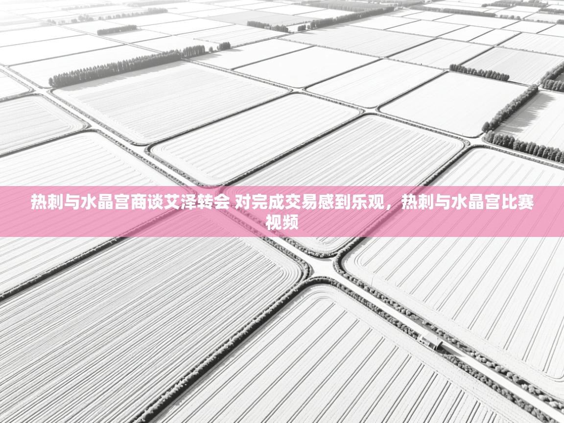 爱游戏体育下载-热刺与水晶宫商谈艾泽转会 对完成交易感到乐观,热刺与水晶宫比赛视频 第2张