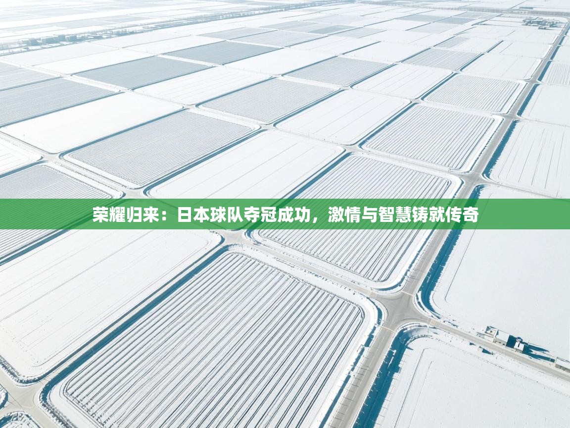 爱游戏体育娱乐罗马赞助商-荣耀归来:日本球队夺冠成功,激情与智慧铸就传奇 第1张