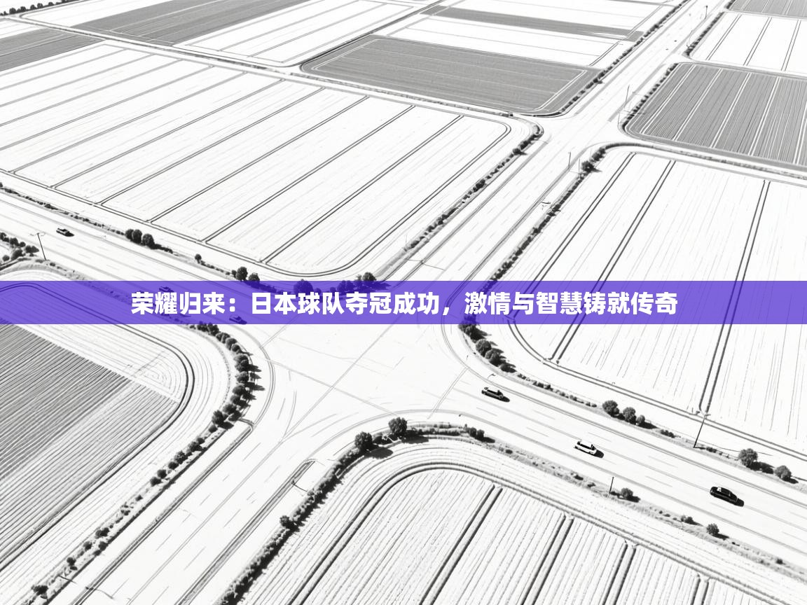 爱游戏体育娱乐罗马赞助商-荣耀归来:日本球队夺冠成功,激情与智慧铸就传奇 第3张