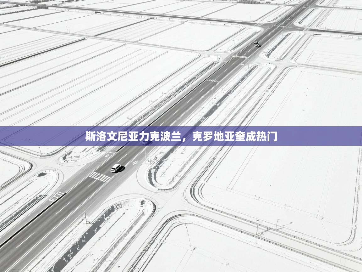 爱游戏体育官网-斯洛文尼亚力克波兰，克罗地亚奎成热门  第2张